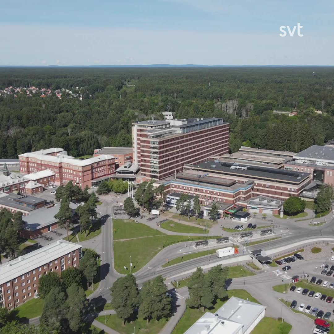 It-direktör granskades av GD – får lämna sin post